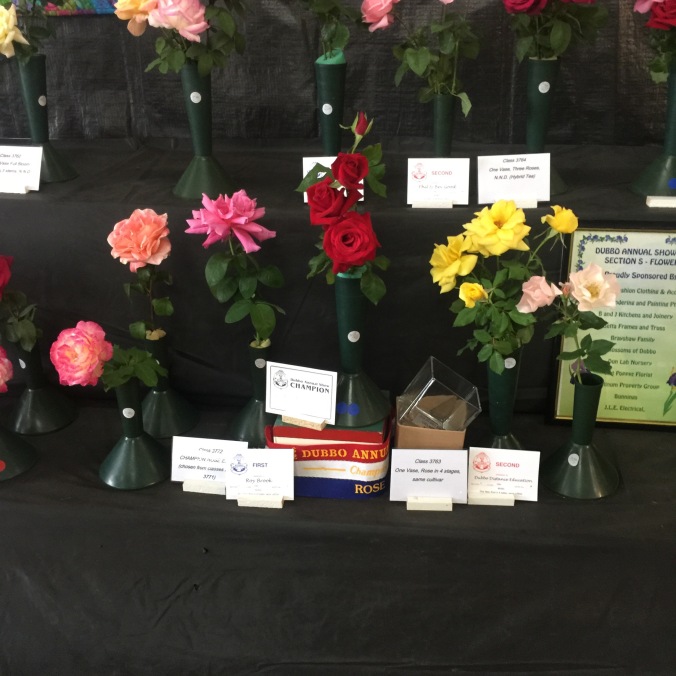 Floral section, Dubbo show, beautiful roses, first prize 